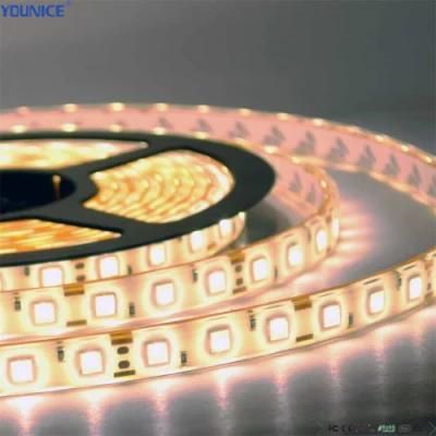 Diffuse Reflection 10mm Width 41.67 Cut Unit DC12V LED Flexible Strip