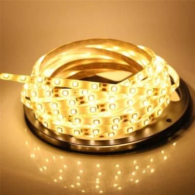 Colorful 60LEDs/M 3528 Flexible LED Strip Light for Garden Lighting