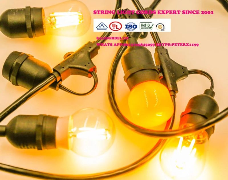 G40 String Lights +2 Spare Bulbs 30 Edison Style Globe Bulbs 25 Foot UL Outdoor Light String