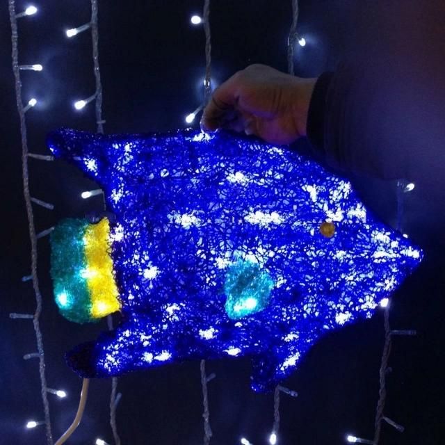 LED Acrylic Lighted Fish for Decoration