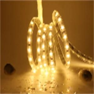 Hot Sale LED Strip Flexible 2835 60 LEDs/M Light Tape IP65 Different Colors LED Tape Light