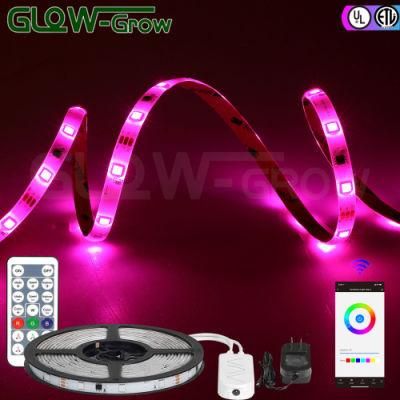 ETL Listed 12V Multicolors 5050 LED Strip Light with UL Listed