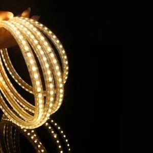 220V 120LEDs/M SMD3528 Rope Double LED Flexible Strips as Christmas Decoration