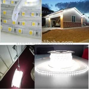 Decorative 220V ETL 110V LED Strip White 60LED Outdoor Lighting