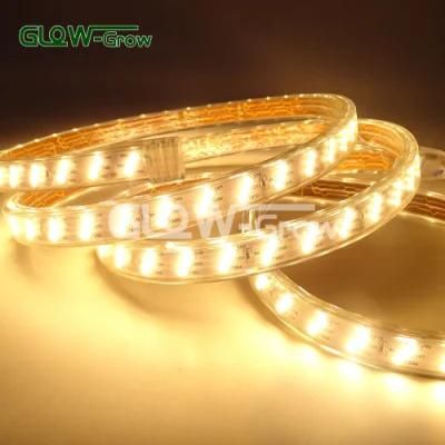 IP65 Waterproof Custom LED Strip Light for Home Backlight Decoration