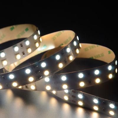 High brightness SMD 5050 120LEDs/m CCT Adjustable LED Strip Lights with CE cetification