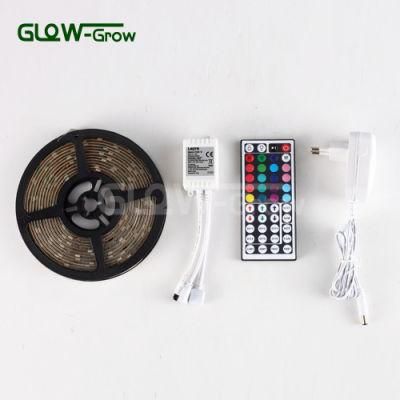 LED IP44 PU-Glue 24V RGB Strip Light for Christmas