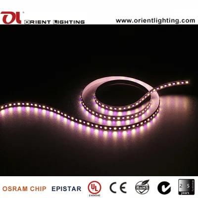 SMD5060 &amp; SMD5050 RGB+W LED Flexible Strip Lighting