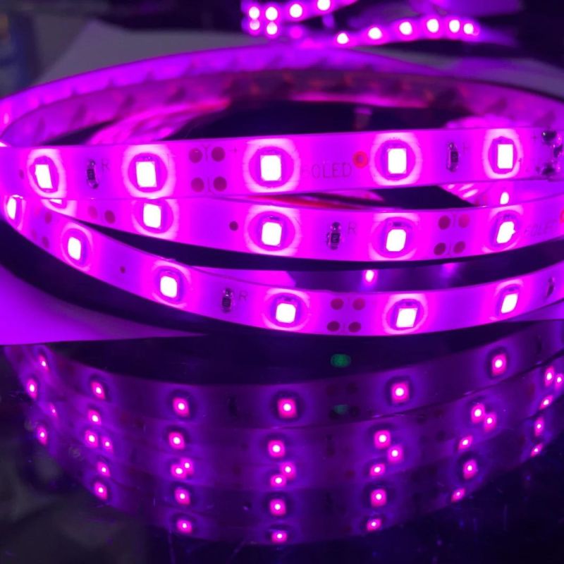 Flexible COB LED Strip High Density COB RGB LED Strip Lights