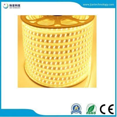 IP67 LED Strip 220V 5630/5730 120LED/M Waterproof Flexible Strip