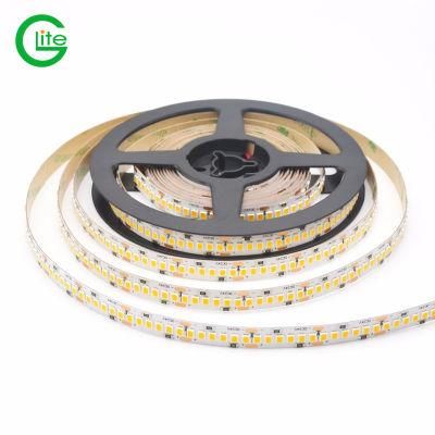 3years Warranty LED Light Stripsmd2835 240LED 18W Ra90 LED Strip DC24 White Color Strip LED Light