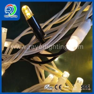 LED Outdoor Decoration LED String Curtain Holiday Light LED Street Decoration