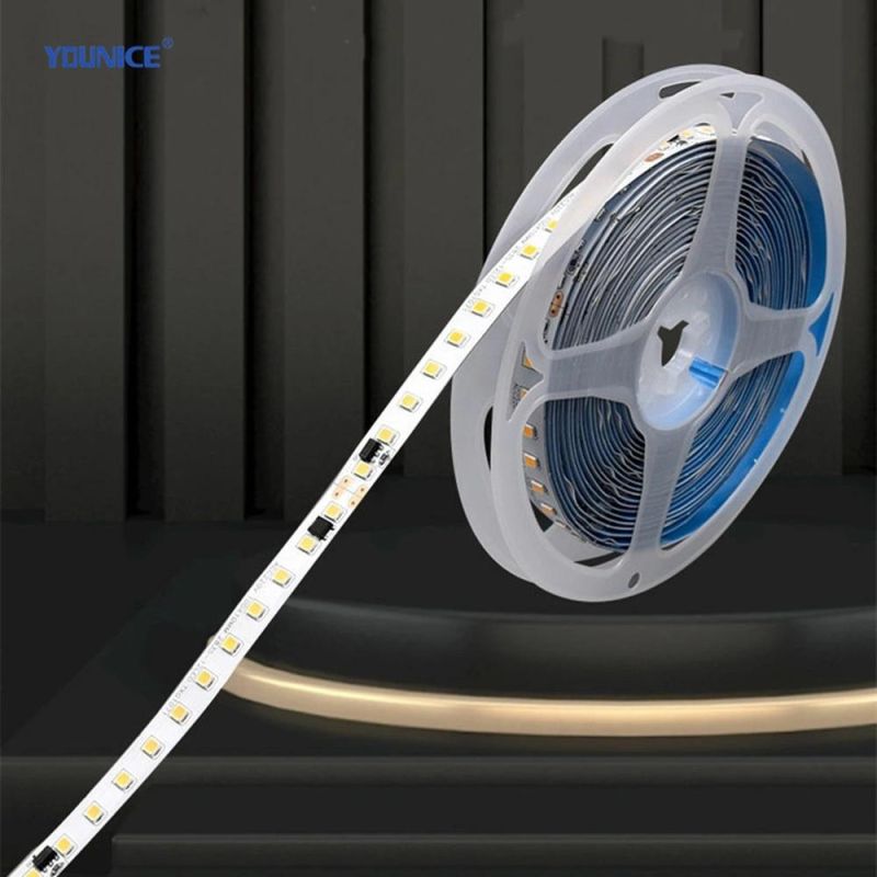 High Voltage AC220V LED Flexible Tape Light Strip