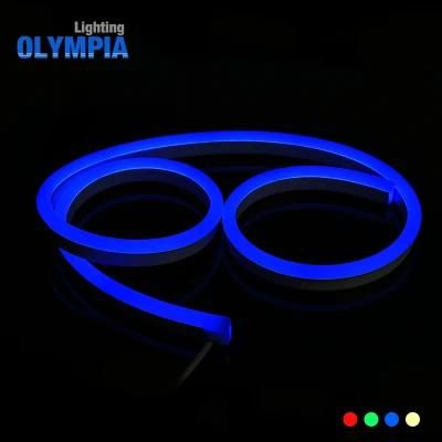 24V Slim LED Neon Flex Rope Light for Pool