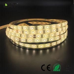 High Brightness DC12V 24V IP20 IP65 SMD2835 Ww Cw 10m 120LEDs Flexible LED Strip Tape Ce ETL UL