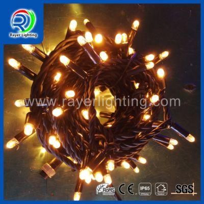 LED Waterproof Rubber Cable Outdoor Light LED String Lights LED Street Light