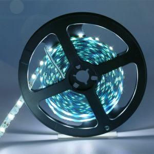 Single Color Flexible LED SMD2835 12V 24V Strip Light