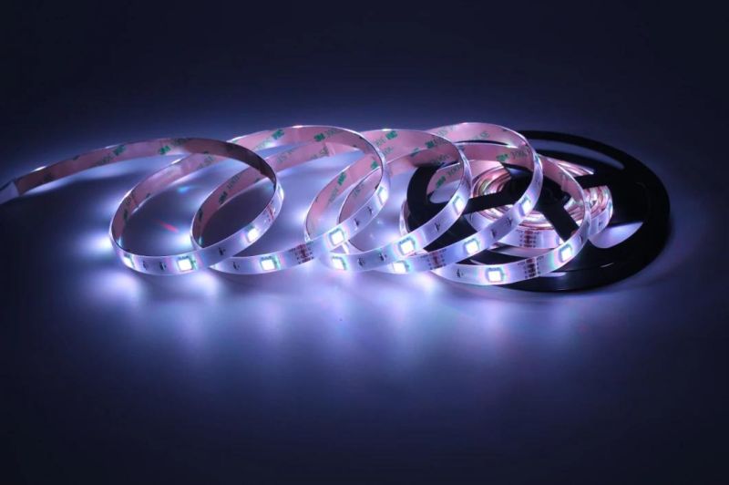 High Lumen SMD5050 LED Flexible Strip Light Decoration LED Rope Lights