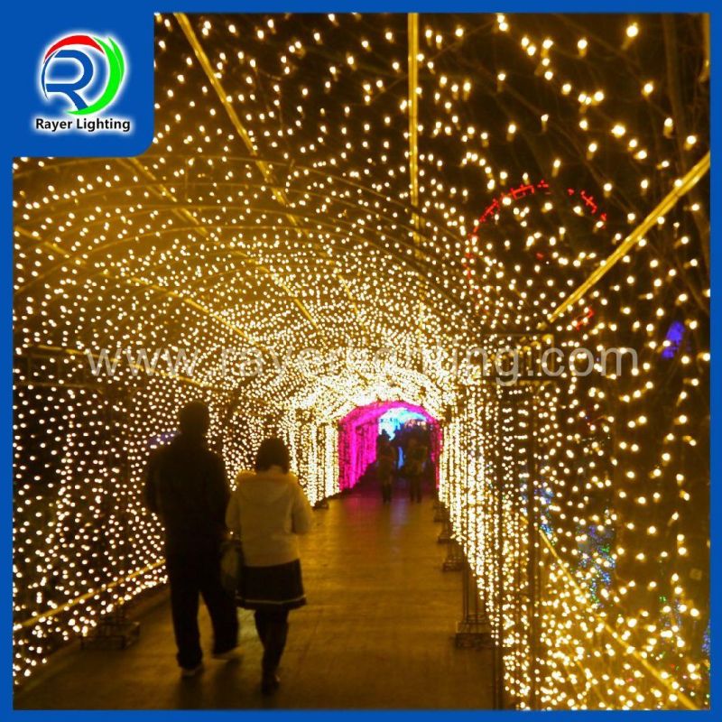 LED Net Lights Christmas Lights Show Addressable Projected Decoration