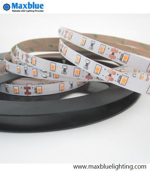 Manufacturer SMD2835 60LED/M 12W Flexible LED Strip