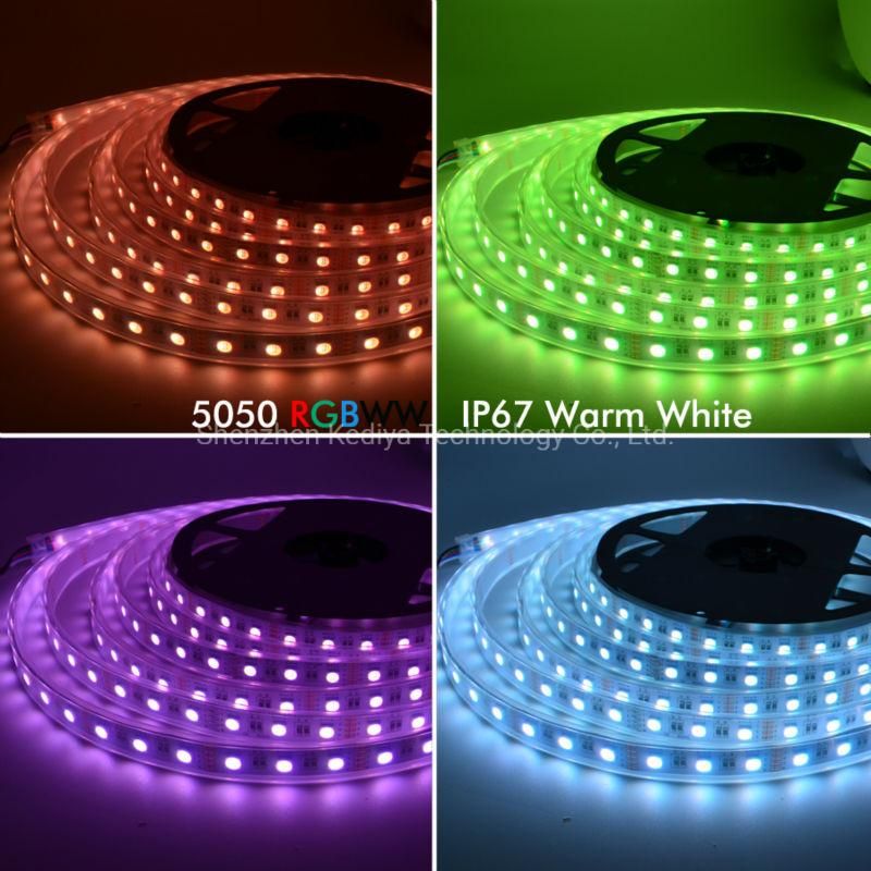 High CRI 2021 Hot Products Waterproof Customizable 16.4FT 12V 24V 5050 RGBW Rgbww LED Strip 4in1