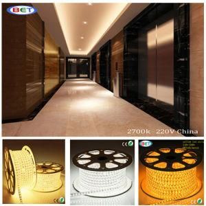 5050 Outdoor Light LED Flexible Strips 120V