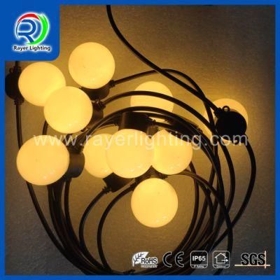 LED Color Changing Light LED Outdoor Decoration with Controller Intelligent Decorative Light