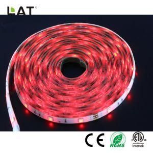 SMD5050 5m Red 30/60/120LEDs Flexible LED Strip Light