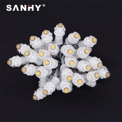 LED Multicolor Decoration Light Waterproof LED Pixel Light