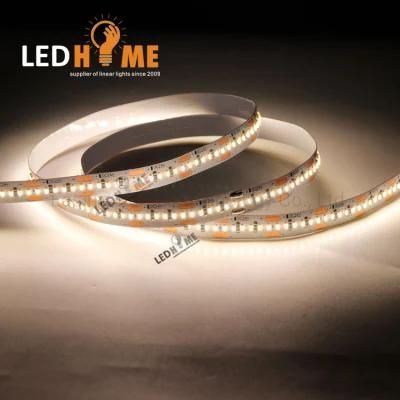 Decoration Flexibile LED Strip SMD1808 300LEDs/M with Ce RoHS Indoor Lighting