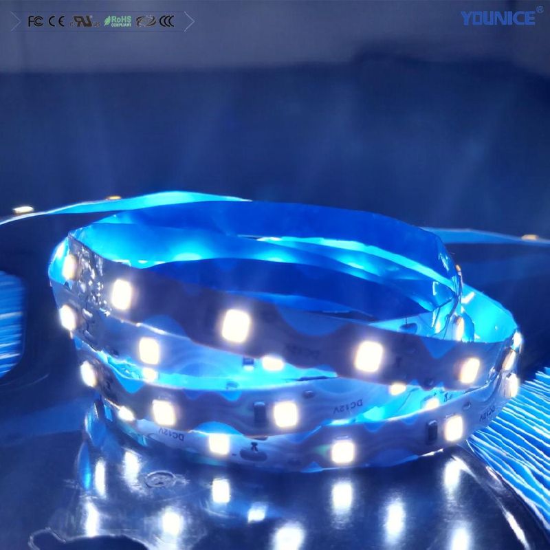 100lm/W 50m Long Reel LED Ribbon Light Flexible Strip