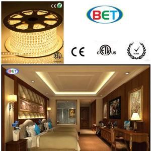 Shenzhen 220V 110V 50 Meters Flexible ETL 5050 LED Strip