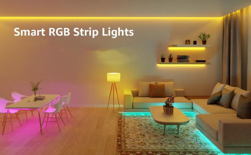 Color Changing 5050RGB LED Strip Rope Lights for Home Decoration Holiday Party Wedding Christmas