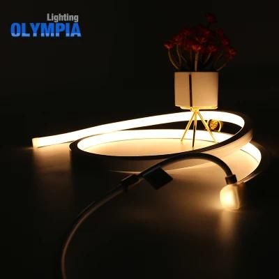 Under Water Ce RoHS Neon Heat Resistant LED Strip Light