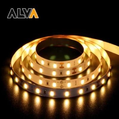 60PCS/M SMD5630 Flexible Rope Light DC24V LED Strip with TUV CE, IEC