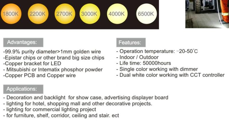 68m Per PCS Cc36V Waterproof 18LED/M 3.5-5W/M (IP20 or IP65 or IP67) Flexible SMD5050 Single Color LED Light Strip, Ce, RoHS Support