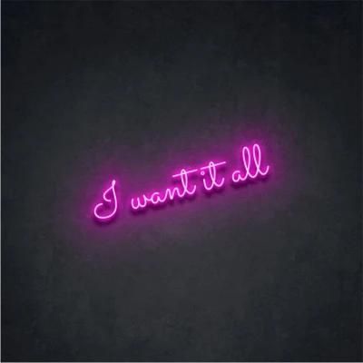 Small Neon Light Sign Indoor RGB Neon Sign I Want It All LED Neon Flex Sign