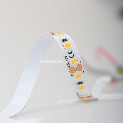 Single Color 2700K SMD 2835 60LEDs LED Strip Waterproof for Outdoor Use