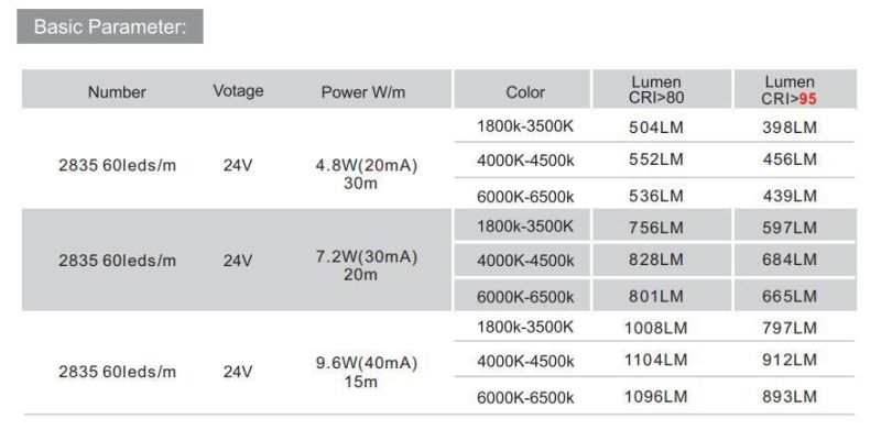 50m 36V LED Strip Without Voltage Drop IC Built in LED Light Strips