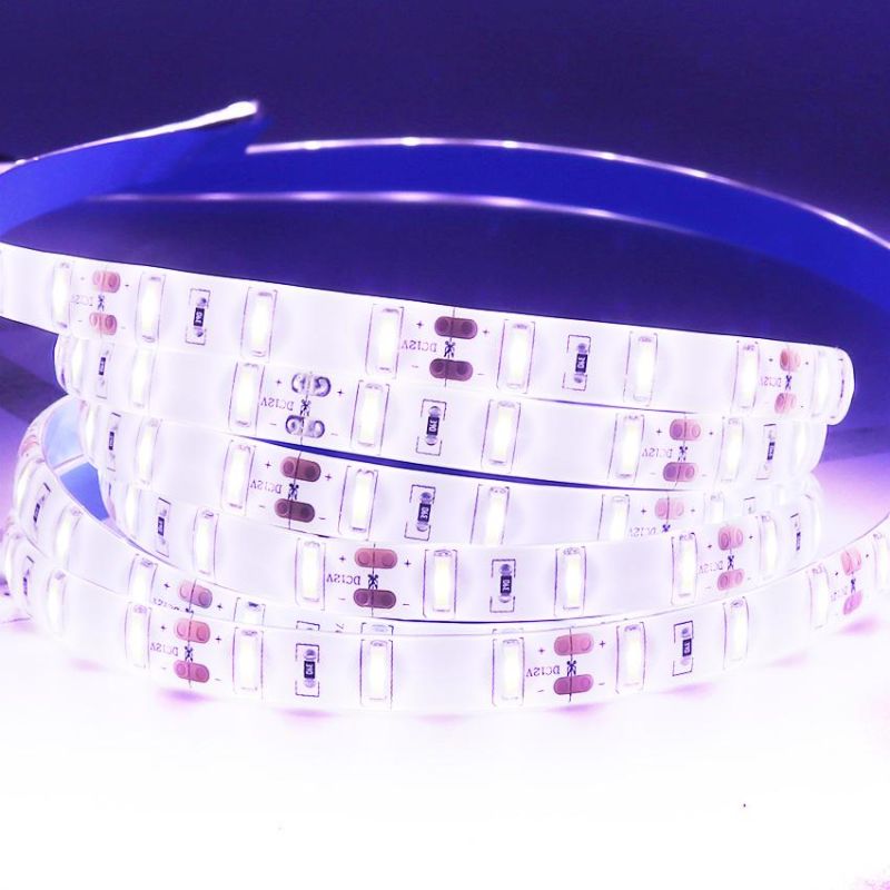 7020 SMD Ultra Bright Cold White Waterproof 12V 5m 60LEDs/M Strip