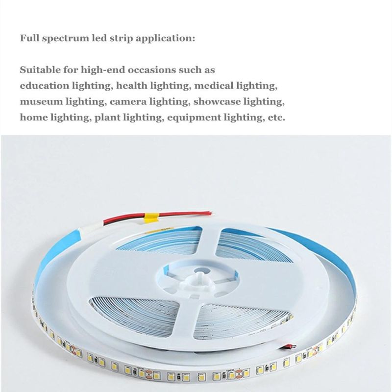 High Color Fidelity Full Spectrum LED Strip for Camera Lighting