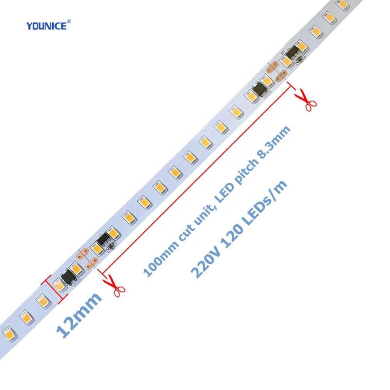 IP67 Silicone Hollow Extrusion 220V High Voltage 12W LED Flexible Strip