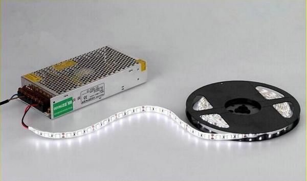 12V Single Color SMD2835 Flexible LED Strip Lamp Lm-80 TUV