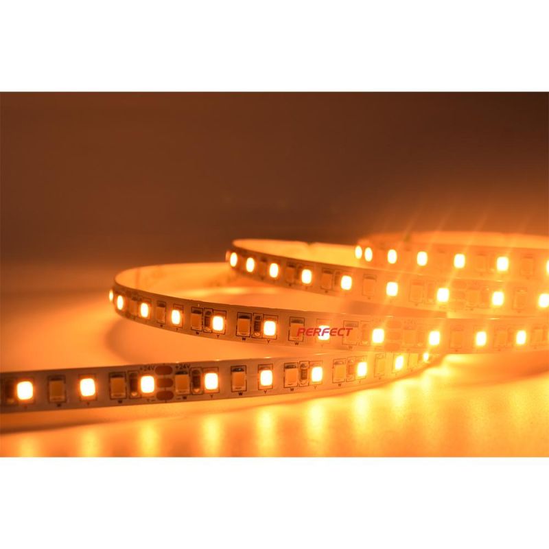 Warm White Cool White LED Light Strips 5m SMD 2835 CCT Dual White 168LEDs/M 12V 24V LED Strip Light