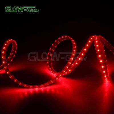 100m 230V LED RGB Sync 5050 Strip Light for Shopping Mall Decoration