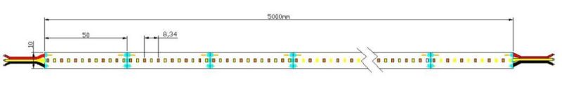 High Quality SMD2216 240 LEDs CRI95 CCT LED Strip Light