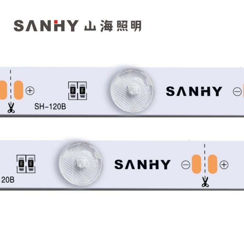 12V Dual Resistor LED Strip with Customizable Color Temperature