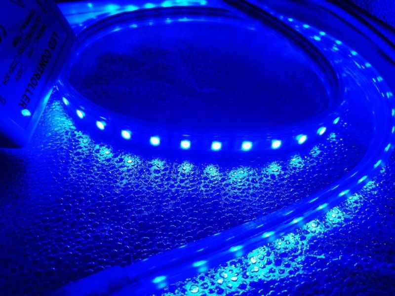 220V 110V 5050 5m Multicolor Flexible Roll Outdoor Waterproof RGB LED Christmas Light