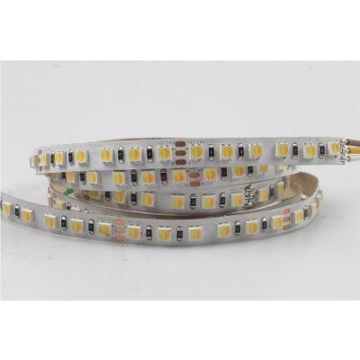 High Density 120 LEDs/M CCT Adjustable SMD 3838 LED Strip