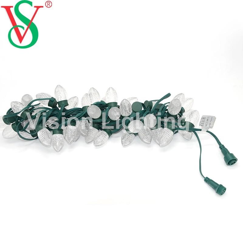 Christmas Decoration IP65 High Quality LED DMX/Ttl Strawberry String Light